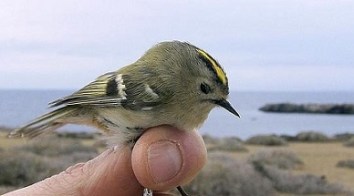 tuc_cambio-climatico_EFE